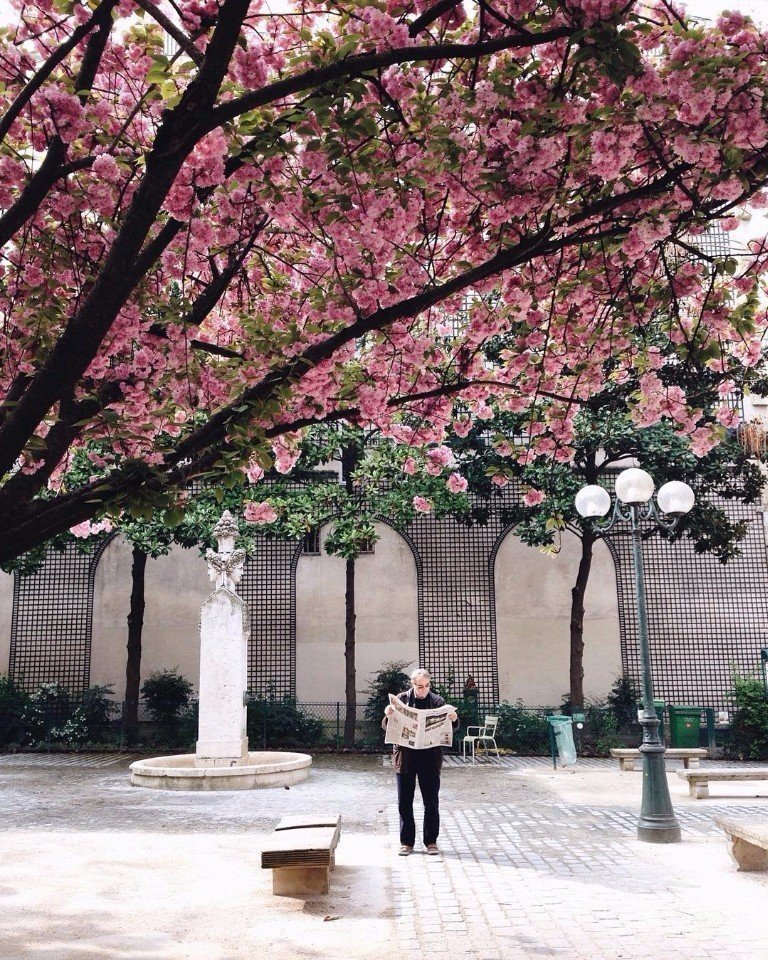 Шарм летнего Парижа - 8