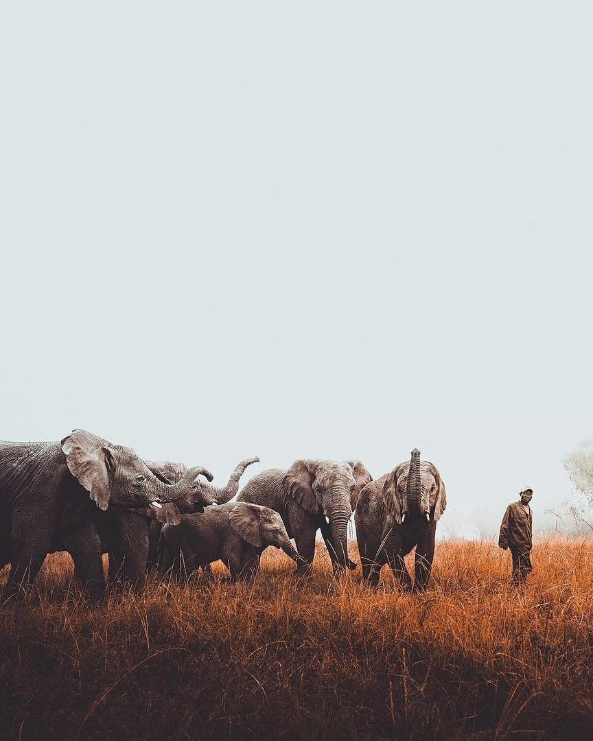 Слон - символ счастья