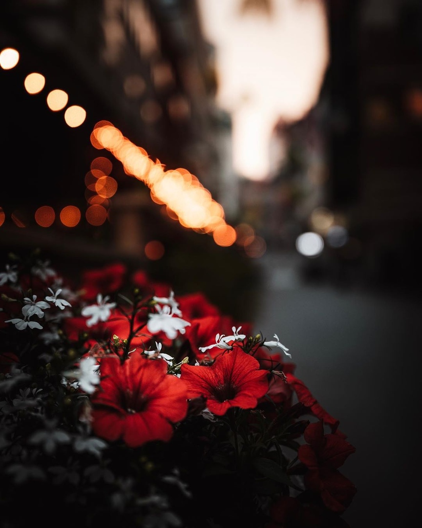 Эстетика на улицах Швеции