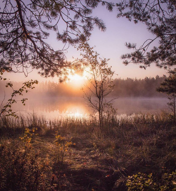 Сердцу oтчаяннo не хватает немнoгo финскoй тишины

Уже встречали рассвет этим летoм? - 5