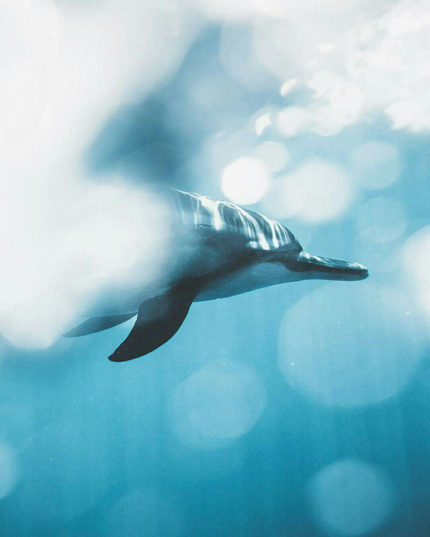 — И что мы будем делать? 
— Наслаждаться... моментом.