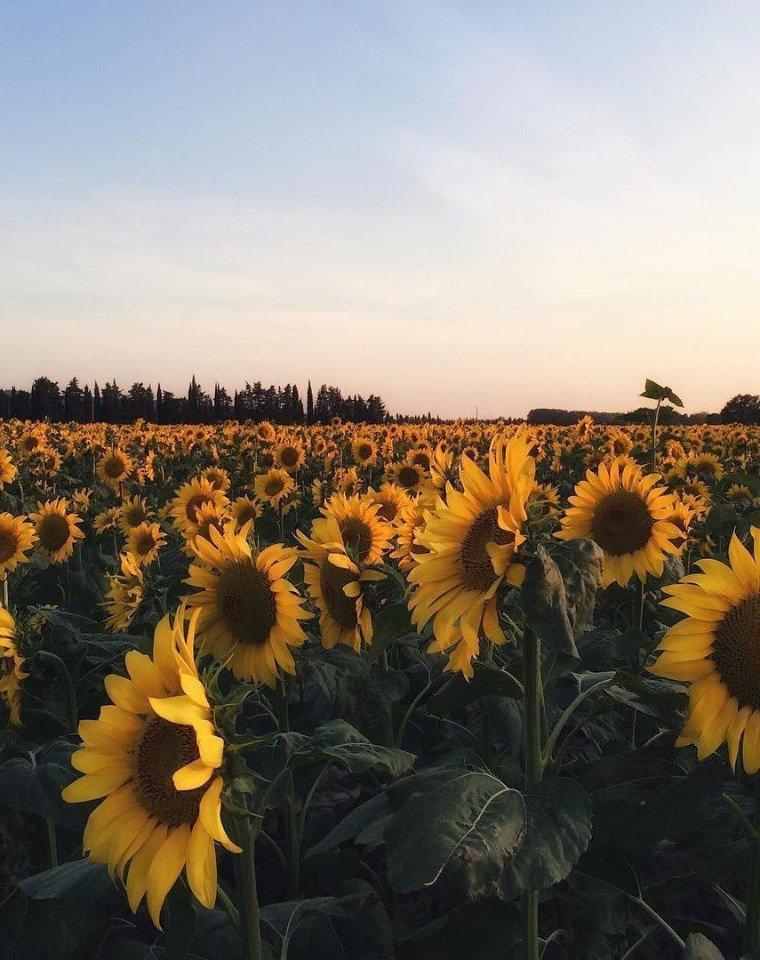 Французские зарисовки - 5