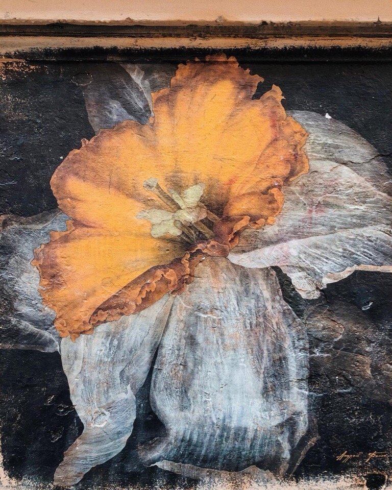 Вот такие фрески живут на стенах в переулке Радищева, Питер - 4