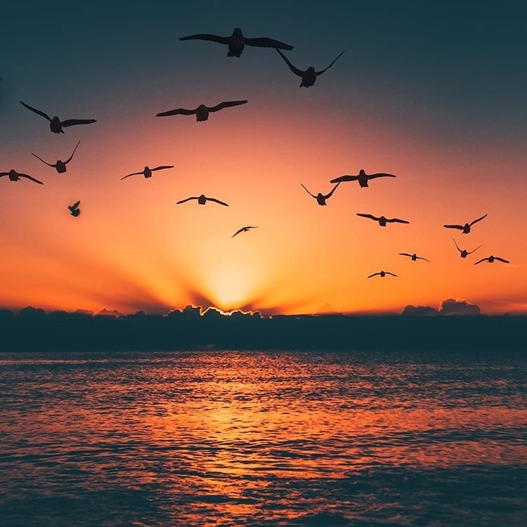 Настроение: уехать к морю. - 5