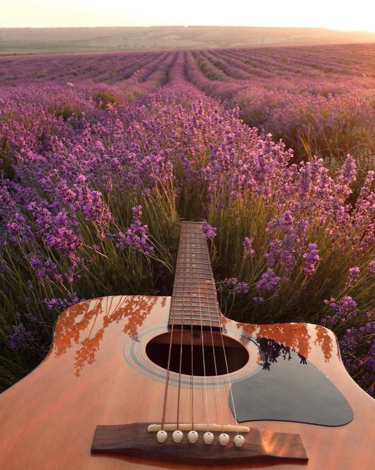 Летние пейзажи Крыма - 6