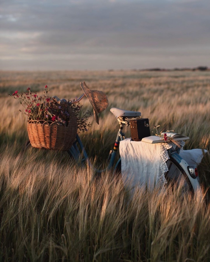 Счастье в тишине... - 6