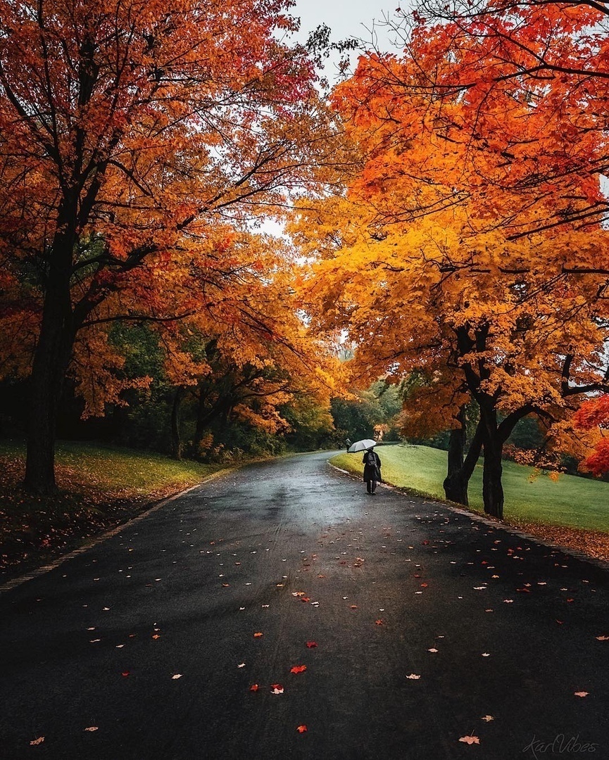 A чeрeз двe нeдeли будeт oceнь... - 7