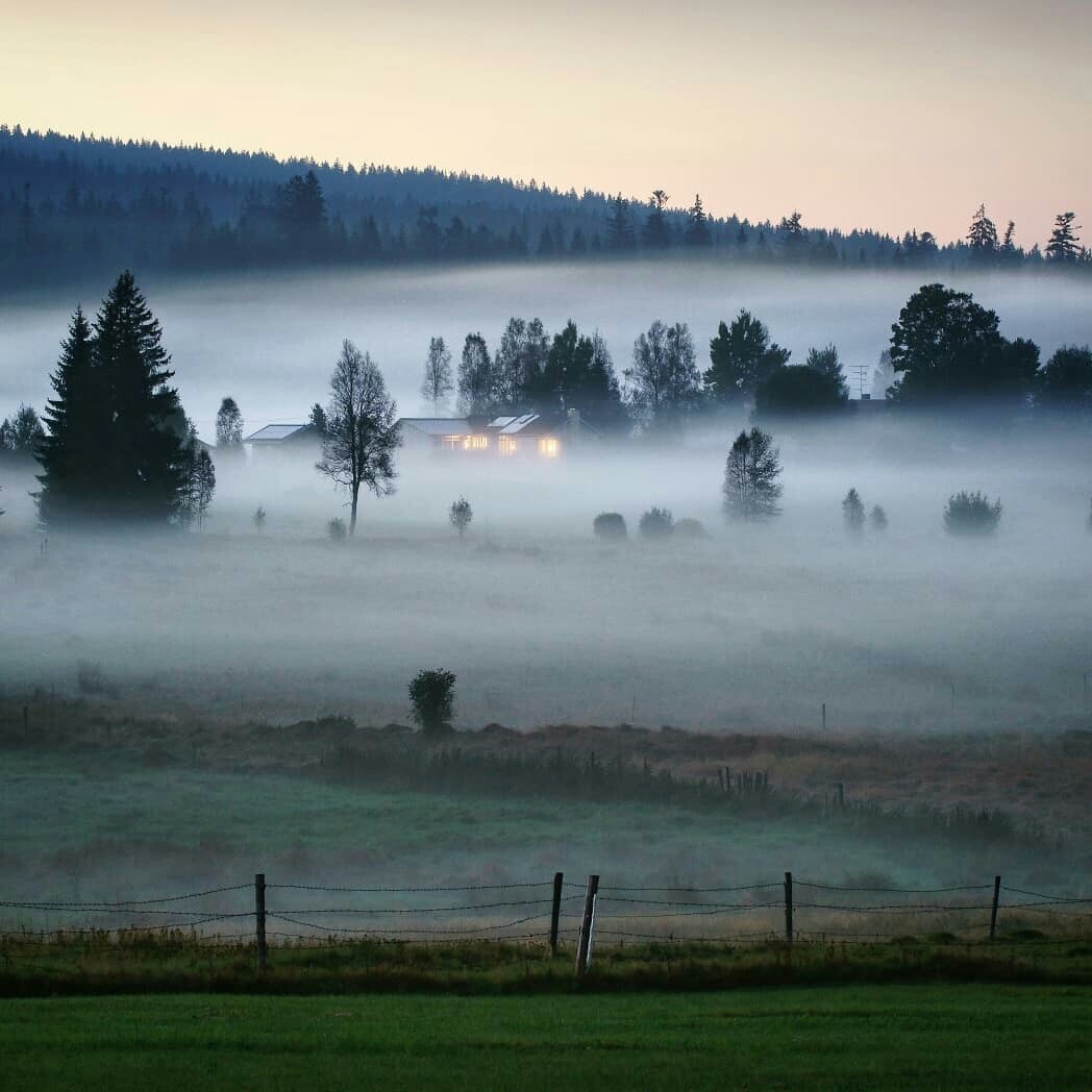 Жизнь — это бесконечное повторение. То, что мы недопоняли в первый раз, происходит с нами снова. Чуть-чуть по-другому. Если мы по-прежнему не понимаем, событие возвращается до тех пор, пока мы не усвоим урок окончательно.
Бернар Вербер - 3