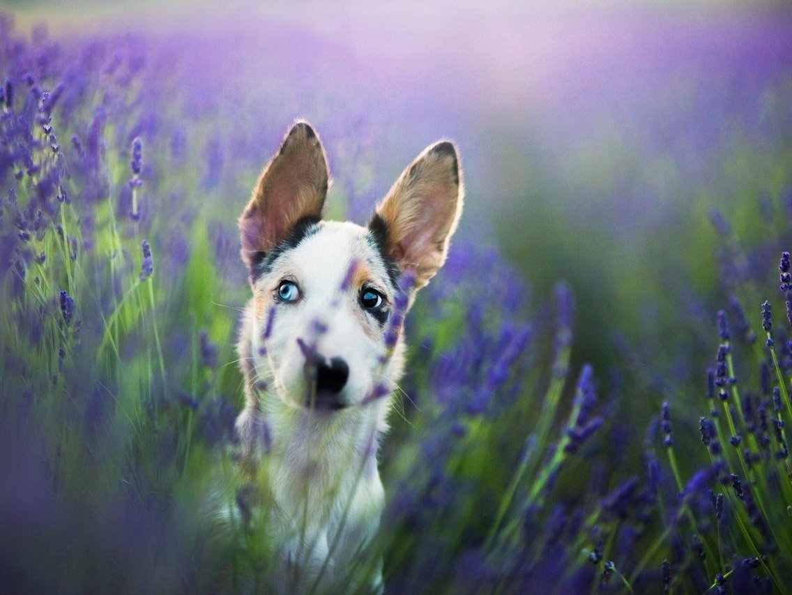 «Будьте реалистами, мечтайте о невозможном» - 6