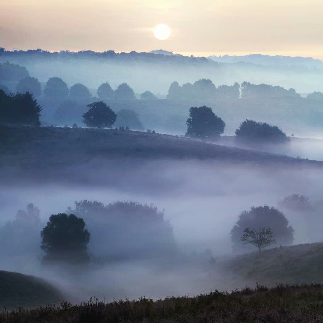 Жизнь — это бесконечное повторение. То, что мы недопоняли в первый раз, происходит с нами снова. Чуть-чуть по-другому. Если мы по-прежнему не понимаем, событие возвращается до тех пор, пока мы не усвоим урок окончательно.
Бернар Вербер - 2