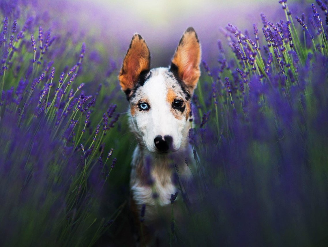 «Будьте реалистами, мечтайте о невозможном»