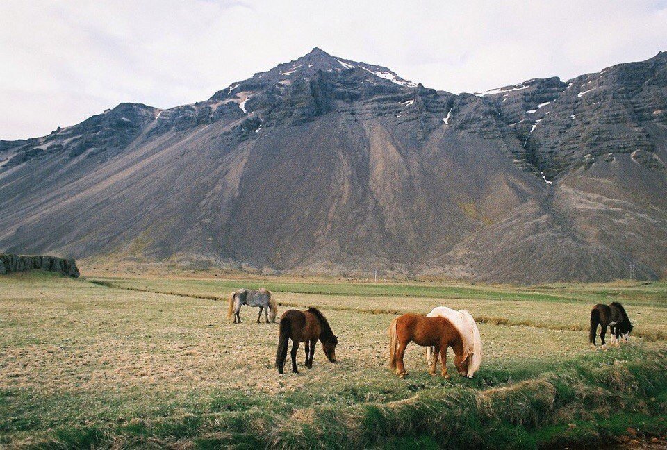 Дух свободы живет в Исландии - 7