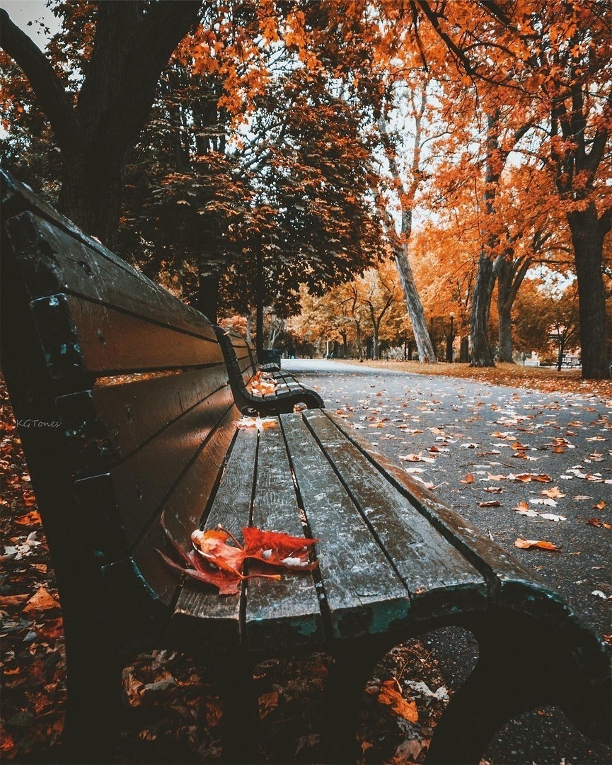 — А что будет через две недели? 
— А через две недели будет осень.