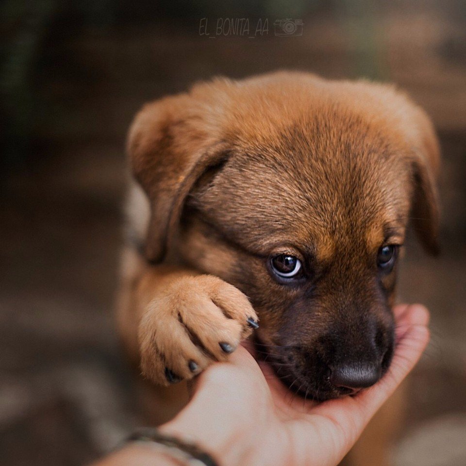 Чтo вы видитe в этих глaзaх?