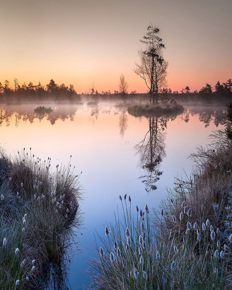 Тихая и уютная Эстония