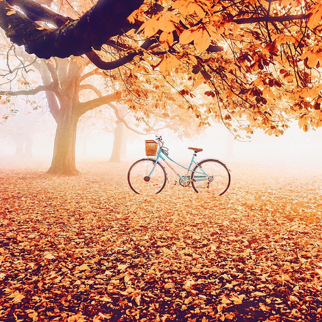 Кто сказал, что осень - это грусть?
Осень - это новые надежды.