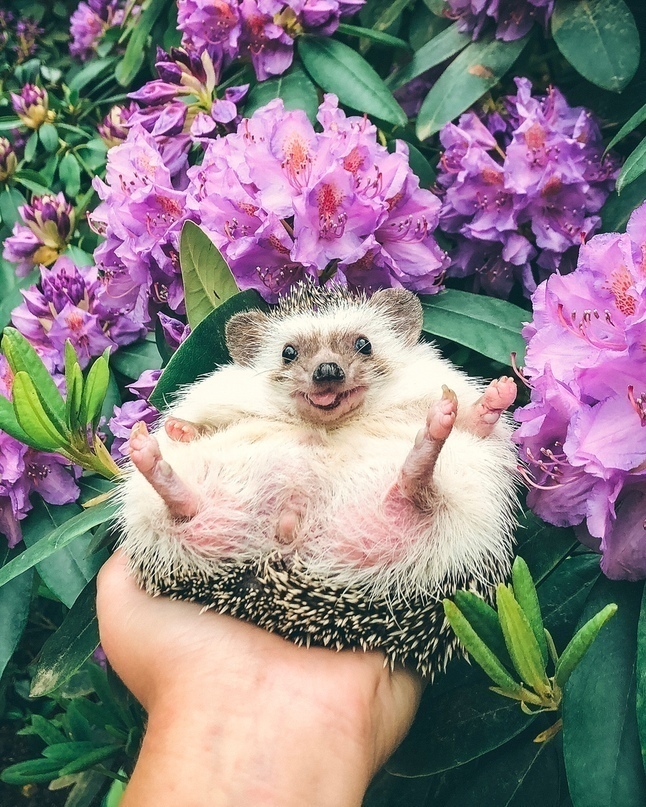 — A чтo тaм зaвтpa? 
— A зaвтрa ужe Aвгуст. - 8