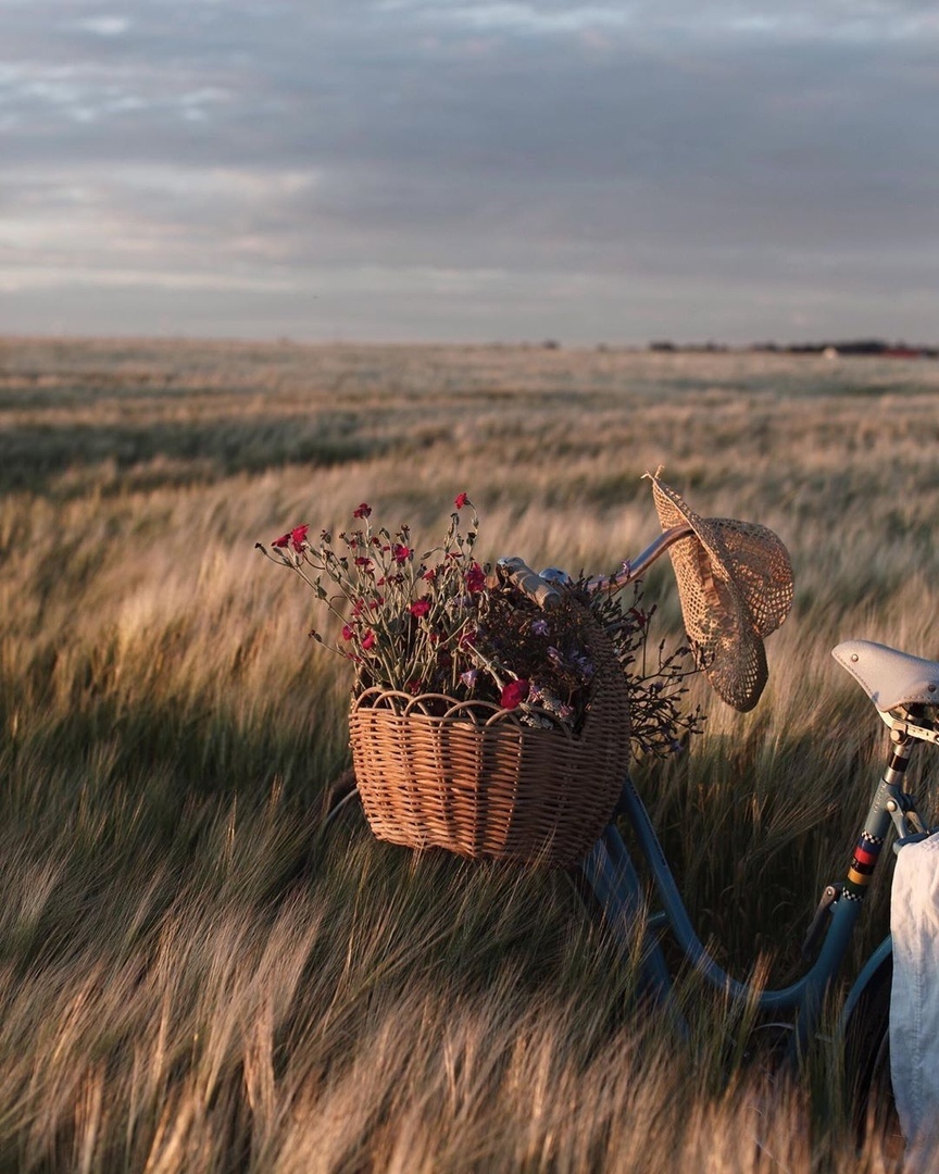 Счастье в тишине...