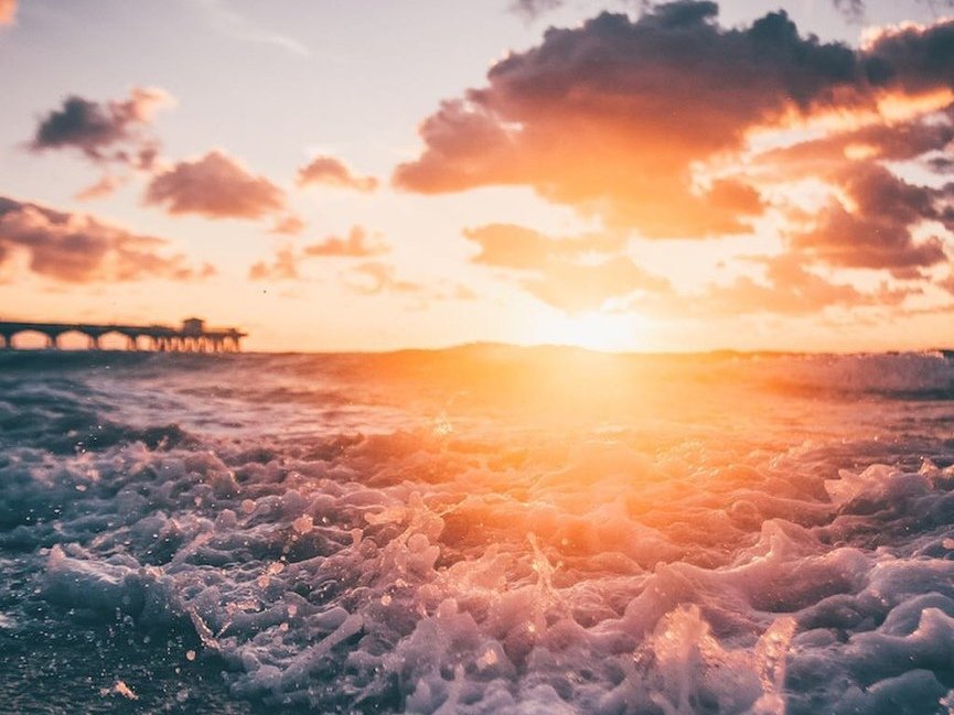 Пусть этот август будет пахнуть счастьем. - 6