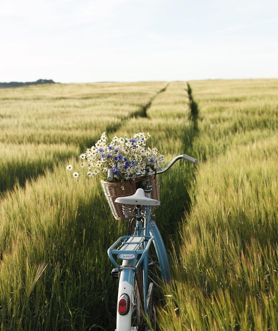 Счастье в тишине... - 7