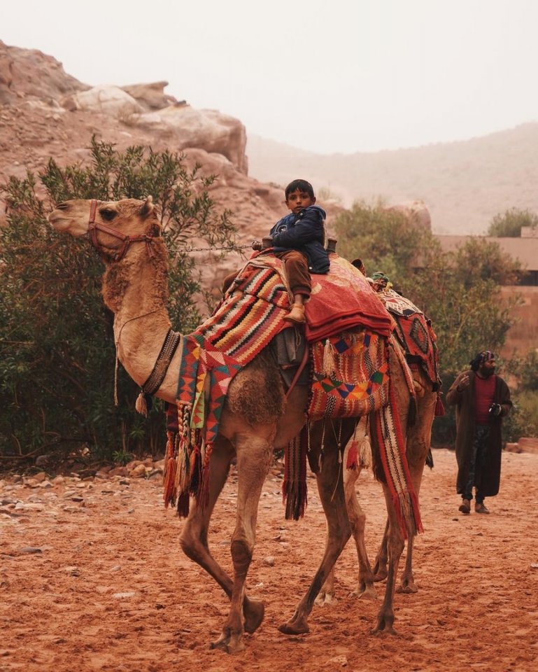 Древний город Петра в Иордании - 5
