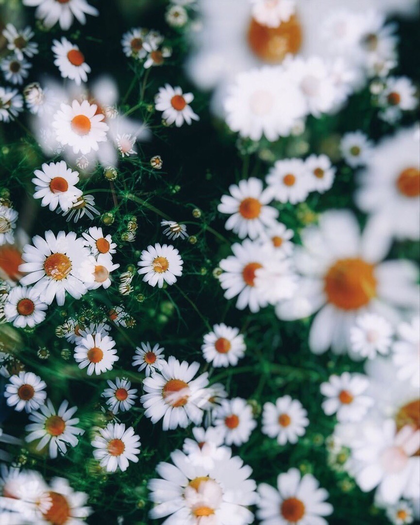 Чтобы жизнь не была серой, не смешивай черное с белым — возьми другие краски.