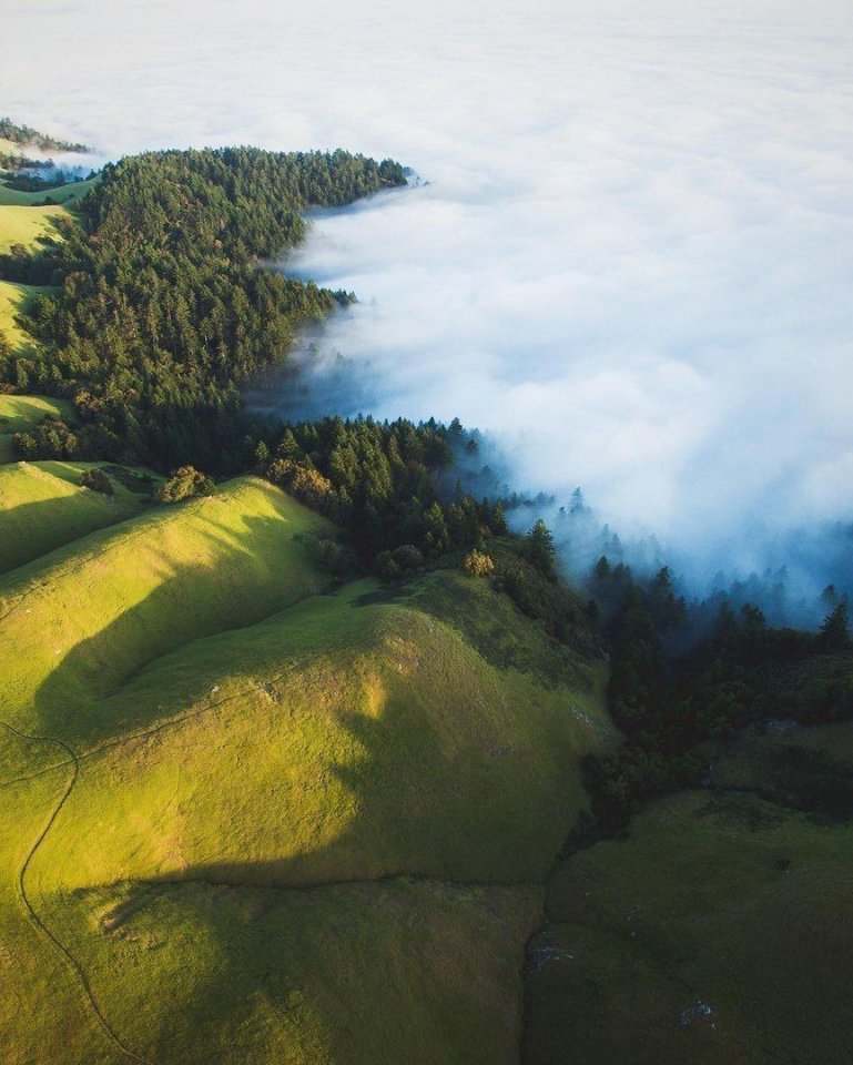 Туманная Калифорния