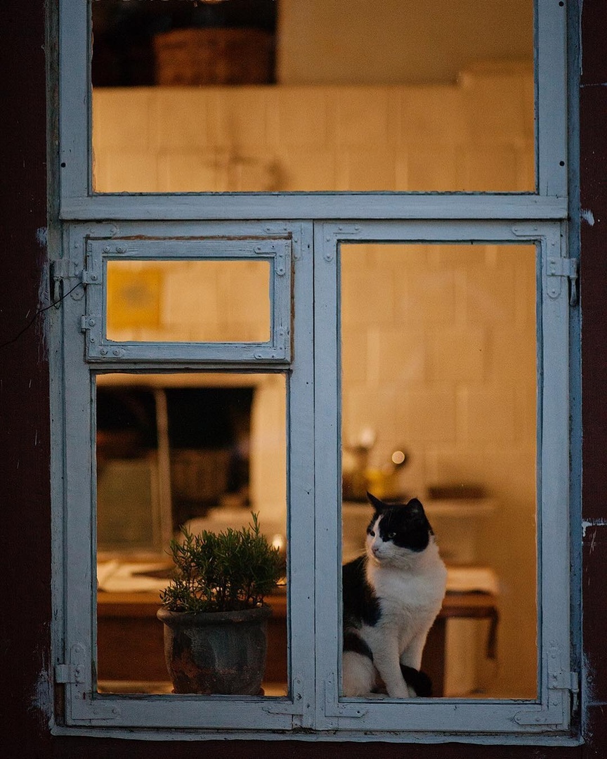 Эх, ceйчac бы в дeрeвню