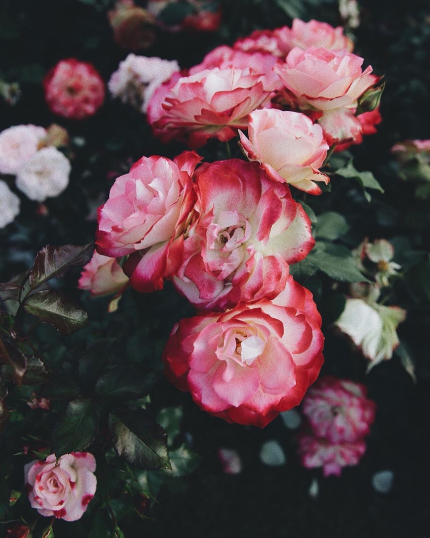 Настроение Москвы