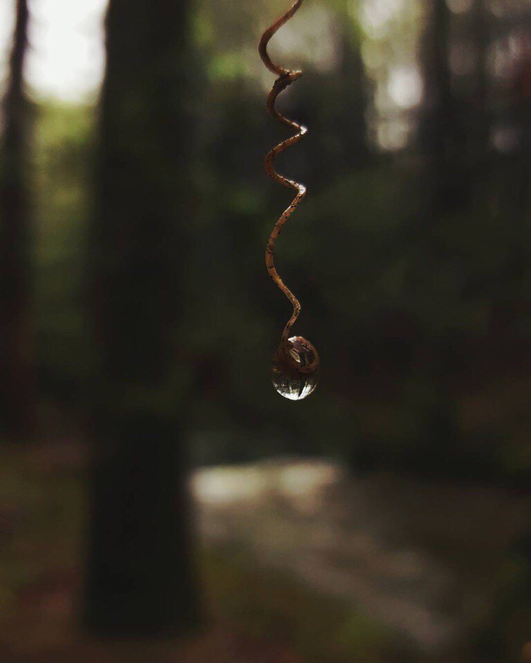 Будьте осторожны со своими желаниями — они имеют свойство сбываться.

Булгаков, "Мастер и Маргарита"