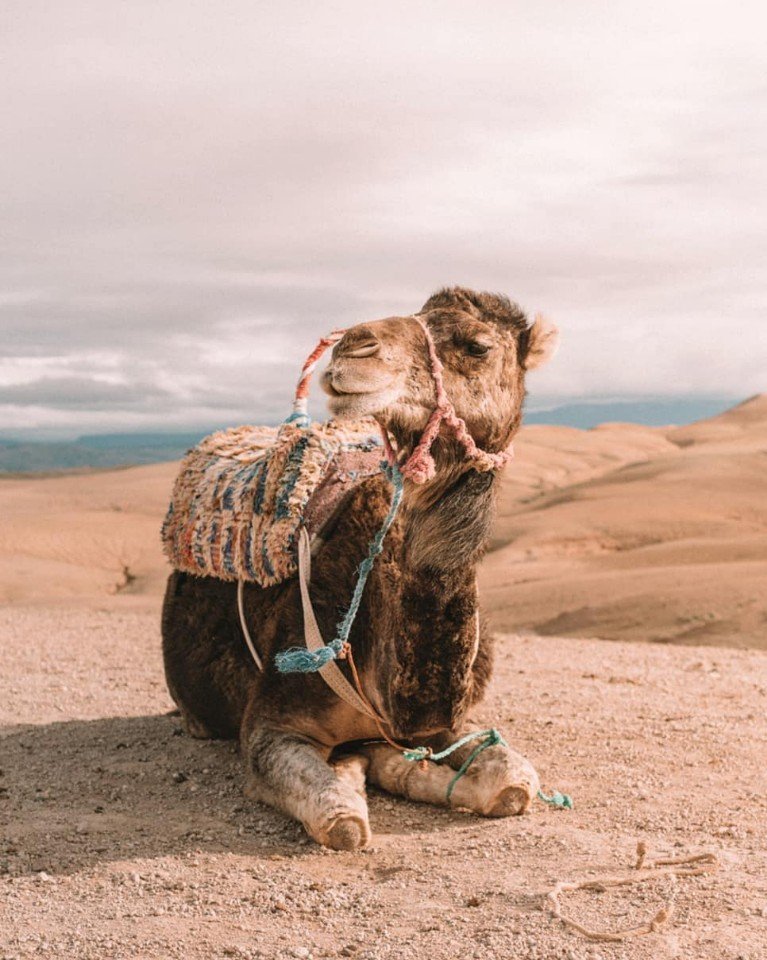 Сказочный Марокко  - 6