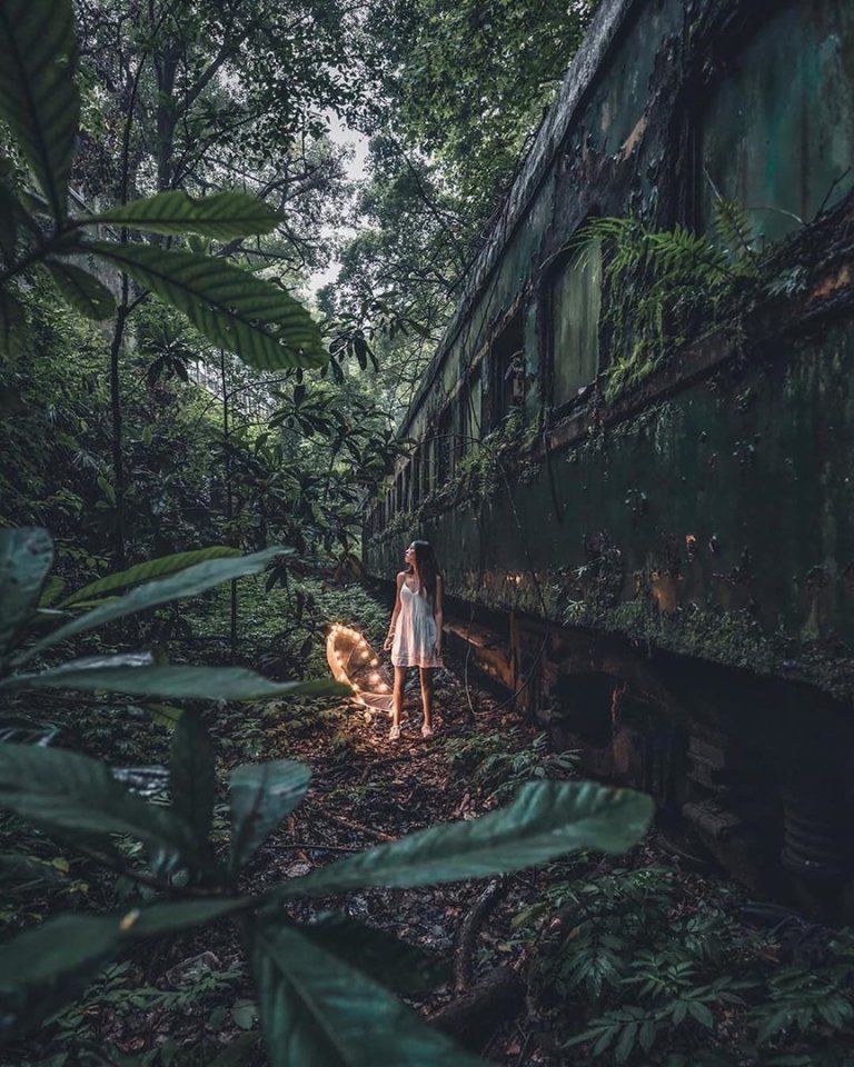 Когда природа берет своё - 7