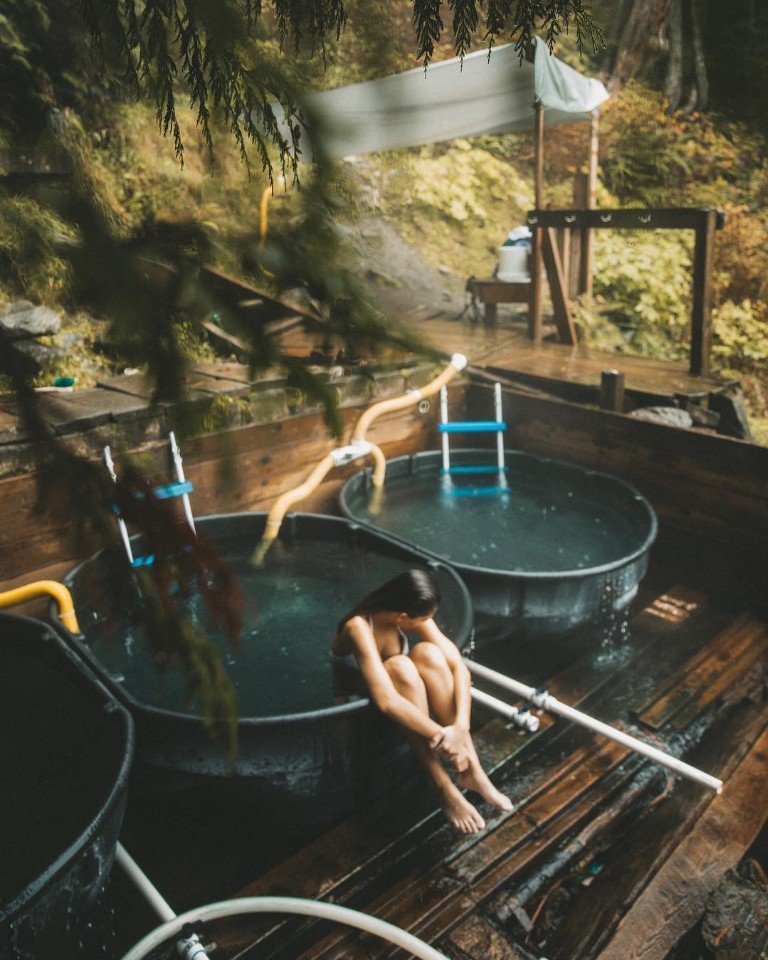 Иногда нужно просто взять и махнуть на денек в лес - 7