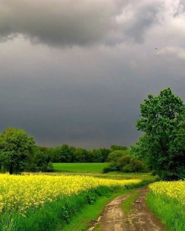 Фотографии с запахом озона - 7