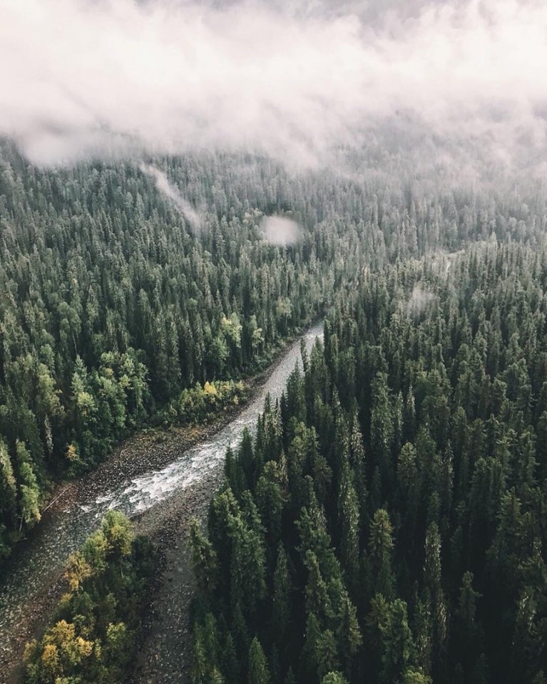 Сибирь - сокровище России - 5