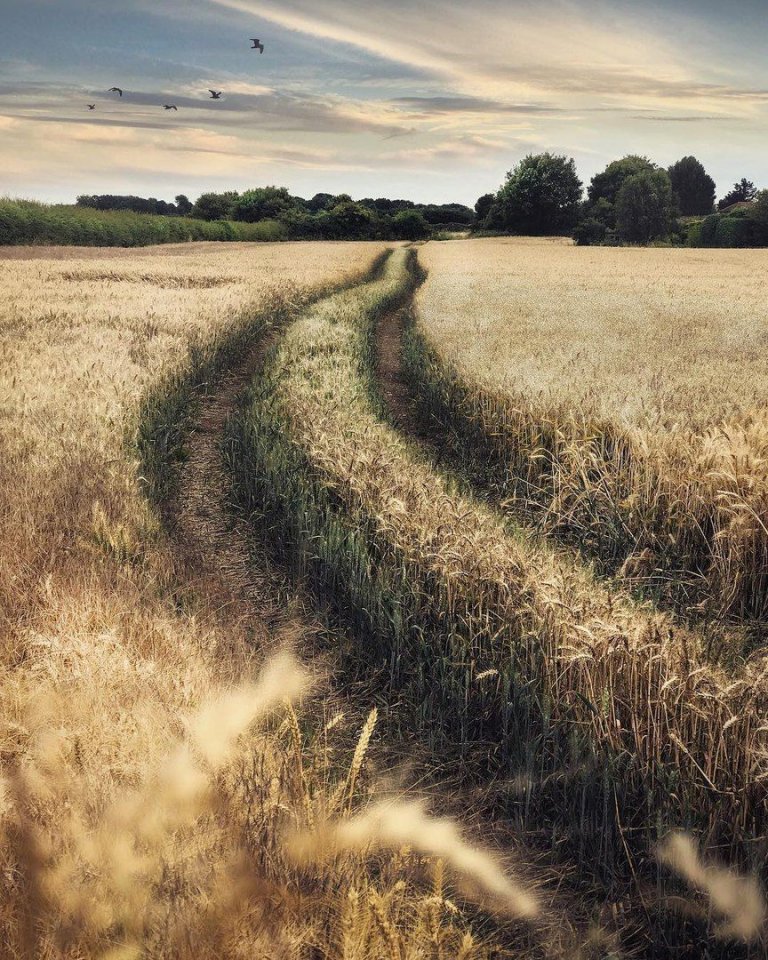 Британская глубинка 