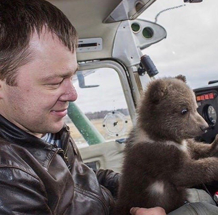 Мишку по имени Мансур, которого спасли и приютили авиторы на аэродроме Орловка