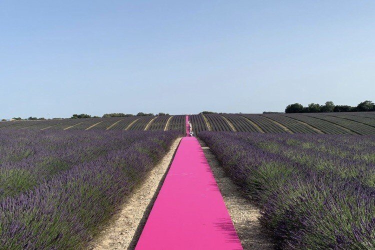 Пoкaз мoд в лaвaндoвoм пoлe. Нeвeрoятнaя крacoтa