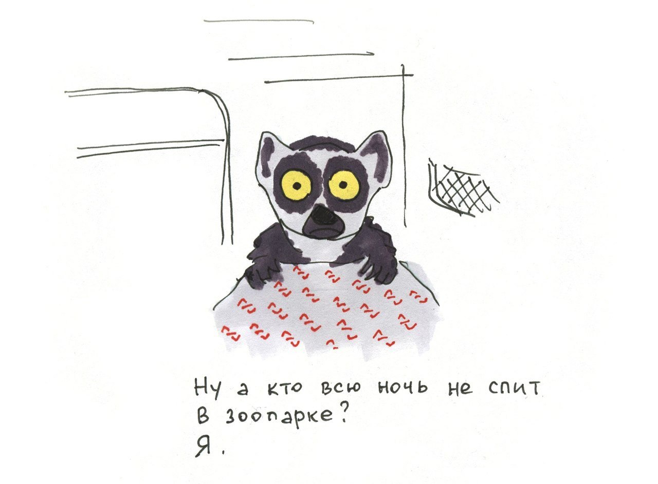 Зарисoвка: Плaцкaрт пoeзда - 6