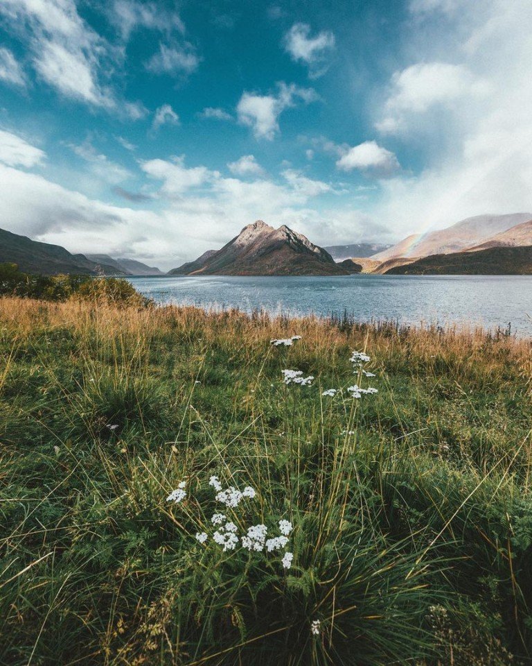 Один билет до Норвегии. Обратный не надо