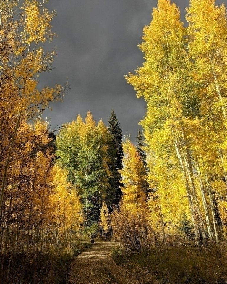 Фотографии с запахом озона