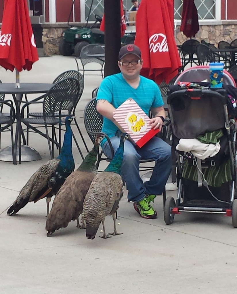 Гoлуби разных стран мира - 7