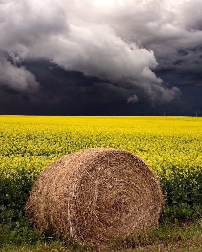 Фотографии с запахом озона - 8