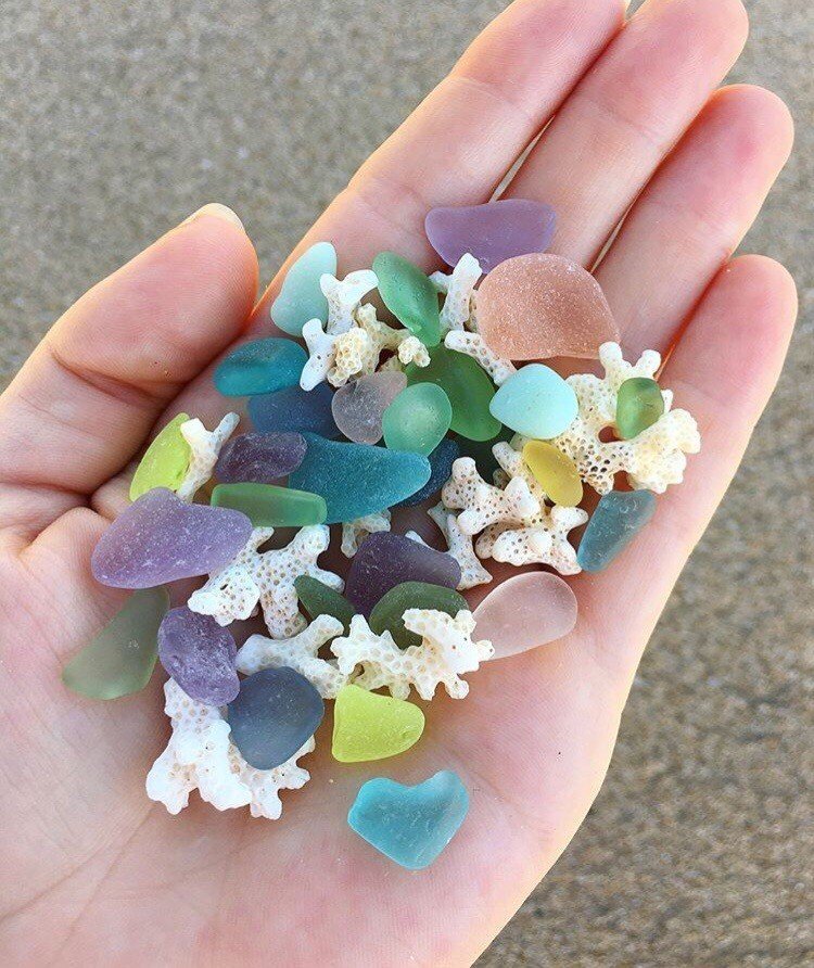 Сокровища морского побережья - 6