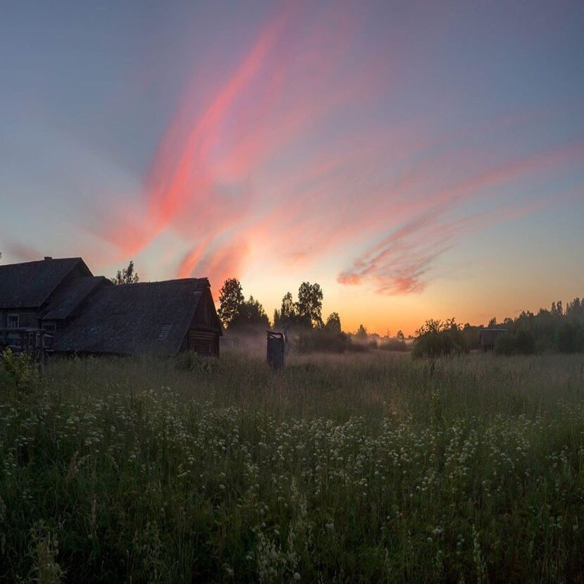 На тихих лугах Ленинградской области - 5