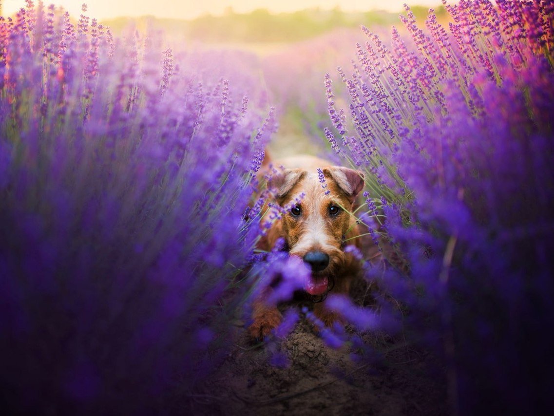 «Будьте реалистами, мечтайте о невозможном» - 5