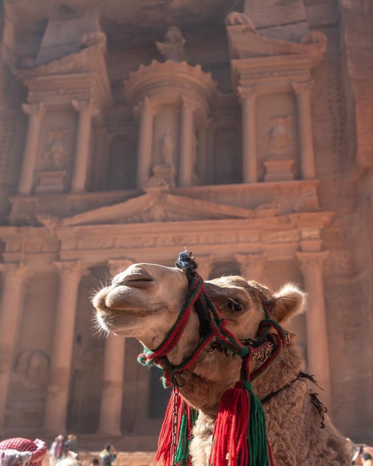 Величественный вход в древний город Петра, Иордания - 5