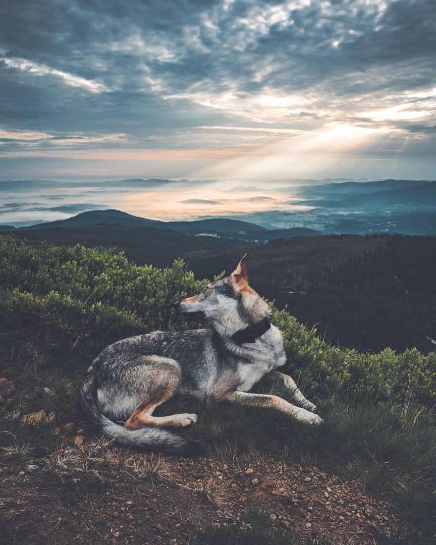 Невыносимо хочется счастья. - 5