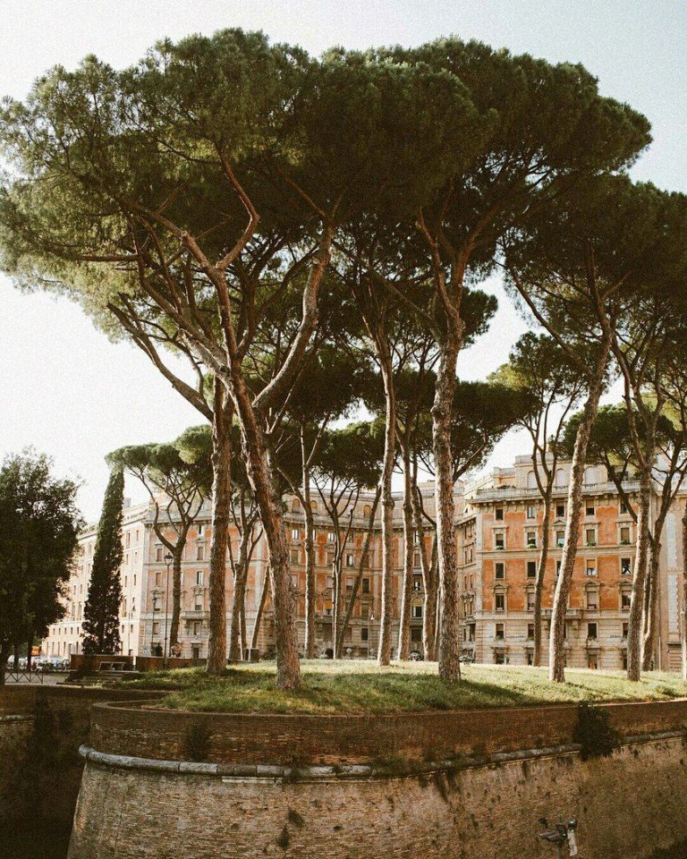 Солнечные летние улочки Рима - 6