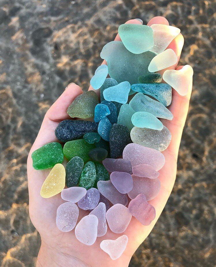 Сокровища морского побережья - 7